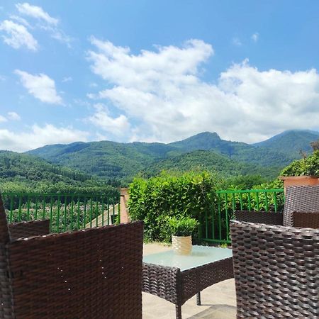 Casa Palau - Relax Y Naturaleza A Los Pies Del Montseny Arbucies Villa Exterior photo